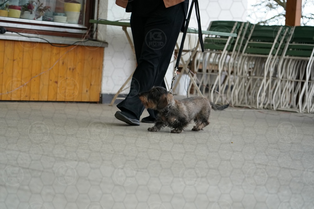 s_A9_00324.jpg